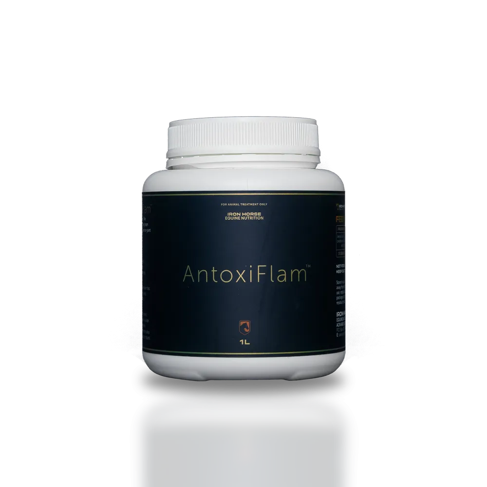 Iron Horse Equine Nutrition AntoxiFlam