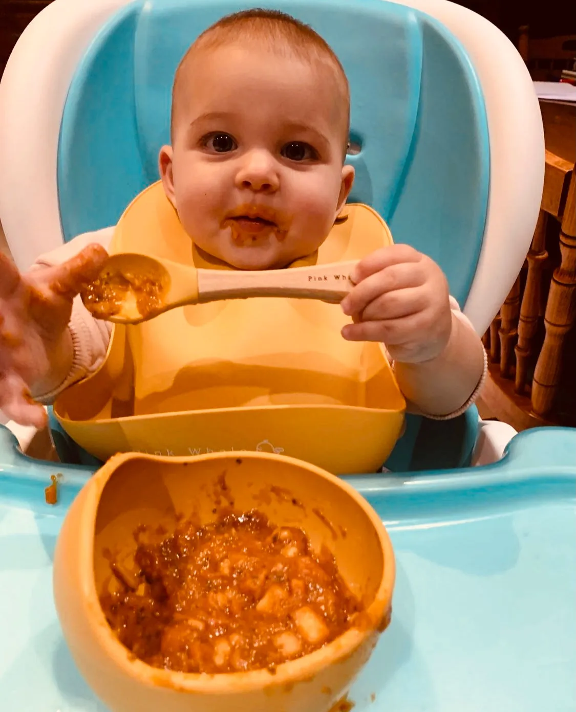 Silicone Baby Bib (Mustard)